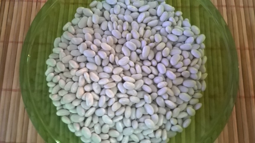 WP_20160703_20_38_46_Pro