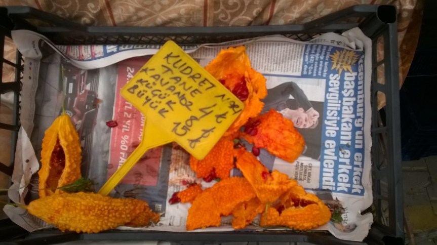 WP_20170826_12_29_42_Pro